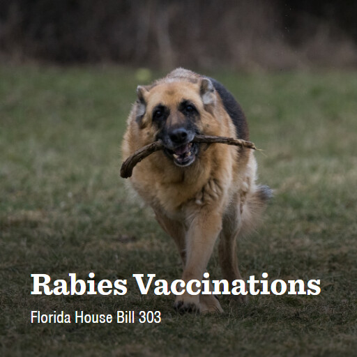 FL HB303 2024 Rabies Vaccinations