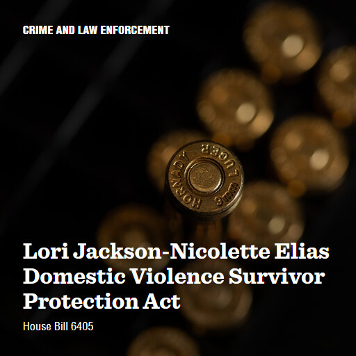 H.R.6405 118 Lori JacksonNicolette Elias Domestic Violence Survivor Protection Act