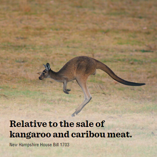 NH HB1703 2024 Relative to the sale of kangaroo and caribou meat