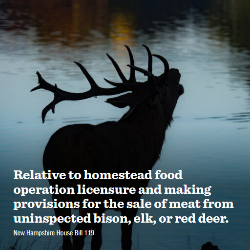 NH HB119 2023 Relative to homestead food operation licensure and making provisions for the sale of meat 