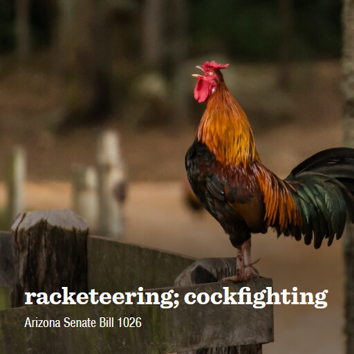 AZ SB1026 56th 2nd regular racketeering cockfighting