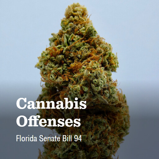 FL SB94 2024 Cannabis Offenses