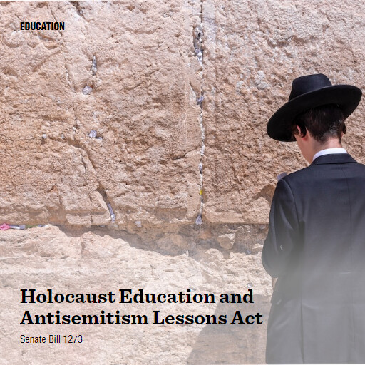 S.1273 118 Holocaust Education and Antisemitism Lessons Act