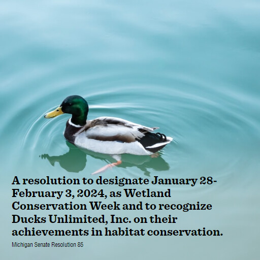 MI SR85 2023 2024 A resolution to designate January 28February 3 2024 as Wetland Conservation Week and to re