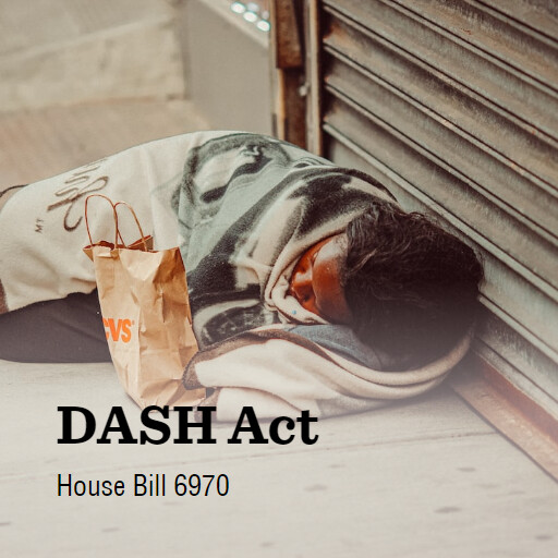 H.R.6970 118 DASH Act