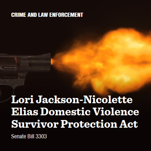 S.3303 118 Lori JacksonNicolette Elias Domestic Violence Survivor Protection Act