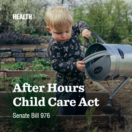 S.976 118 After Hours Child Care Act 2