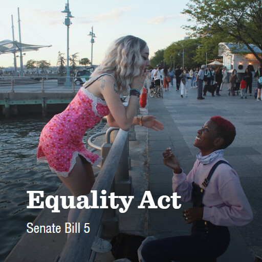 S.5 118 Equality Act 3