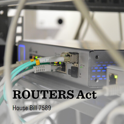 H.R.7589 118 ROUTERS Act