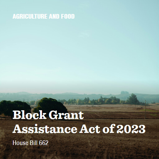 H.R.662 118 Block Grant Assistance Act of 2023