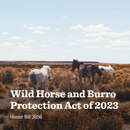 H.R.3656 118 Wild Horse and Burro Protection Act of 2023 2