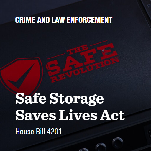 H.R.4201 118 Safe Storage Saves Lives Act 3