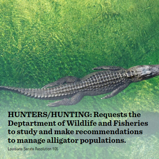 LA SR105 2024 HUNTERSHUNTING Requests the Deptartment of Wildlife and Fisheries to study and make recomm