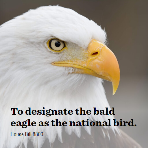 H.R.8800 118 To designate the bald eagle as the national bird