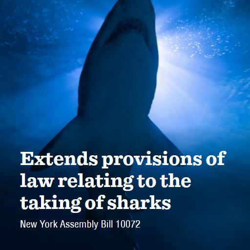 NY A10072 2023 2024 Extends provisions of law relating to the taking of sharks