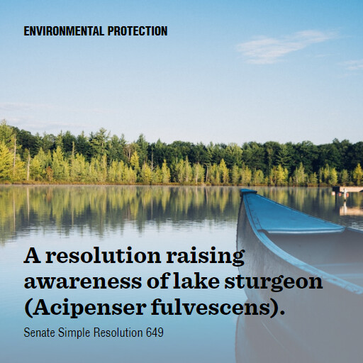 S.Res.649 118 A resolution raising awareness of lake sturgeon Acipenser fulvescens