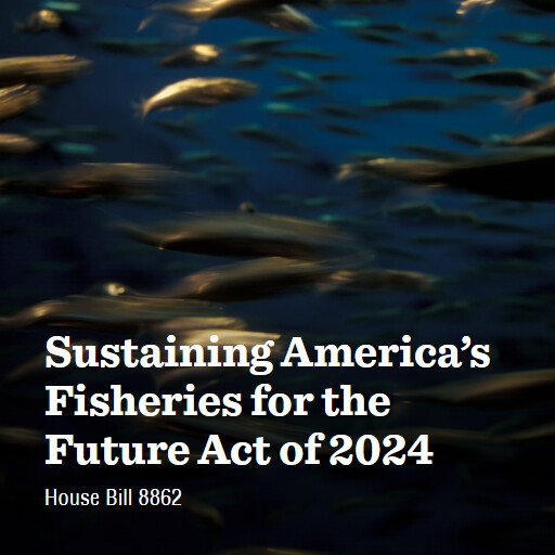 H.R.8862 118 Sustaining Americas Fisheries for the Future Act of 2024