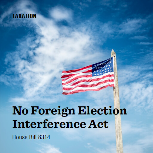 H.R.8314 118 No Foreign Election Interference Act