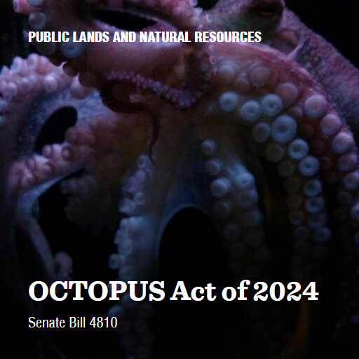 S.4810 118 OCTOPUS Act of 2024