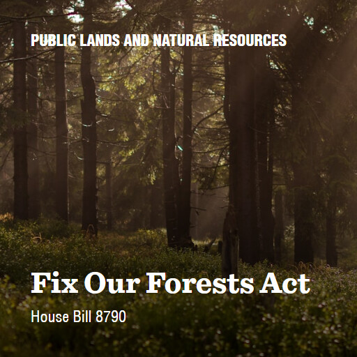 H.R.8790 118 Fix Our Forests Act 2