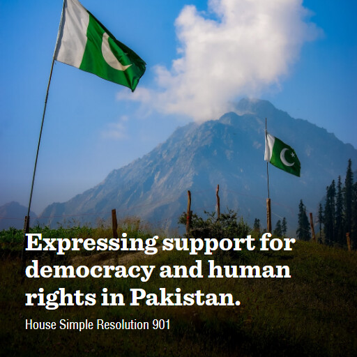 H.Res.901 118 Expressing support for democracy and human rights in Pakistan