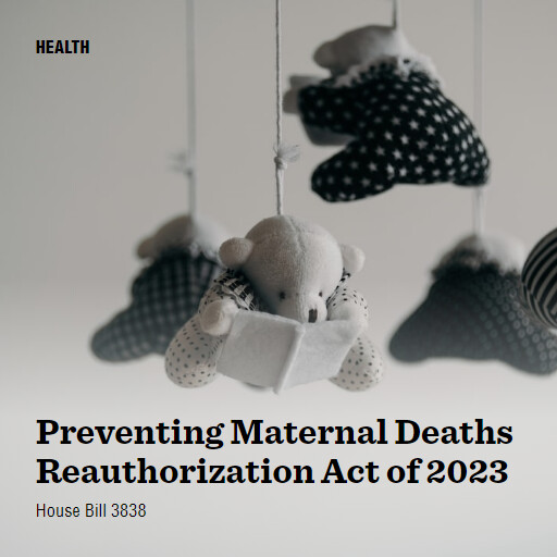 H.R.3838 118 Preventing Maternal Deaths Reauthorization Act of 2023