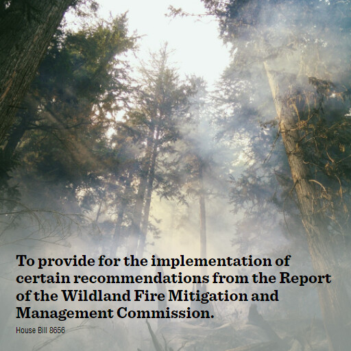 H.R.8656 118 To provide for the implementation of certain recommendations from the Report of the Wildla